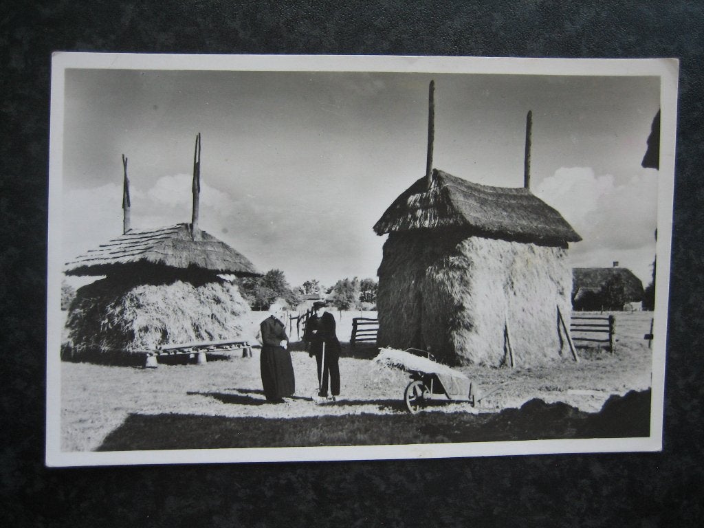 VELUWE op de boerderij 1951, Ophalen of Verzenden, 1940 tot 1960, Gelderland