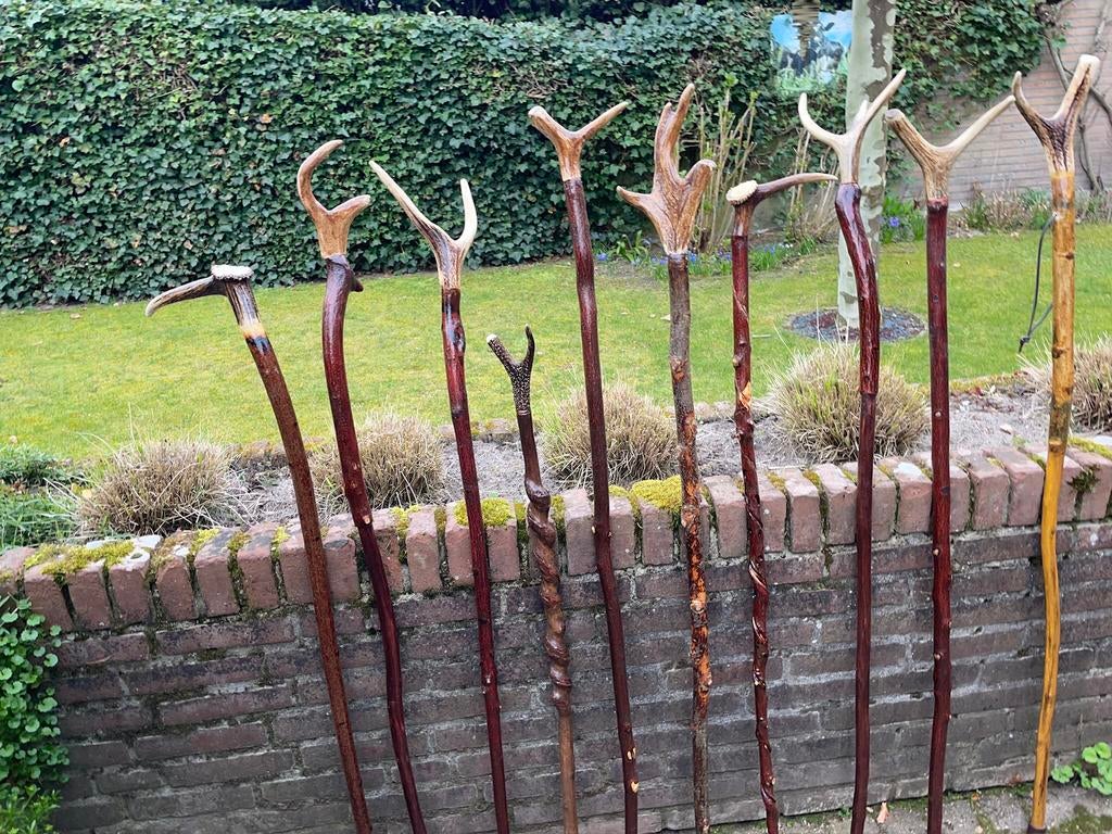 Wandel/berg/drijverstokken, Ophalen of Verzenden, Zo goed als nieuw