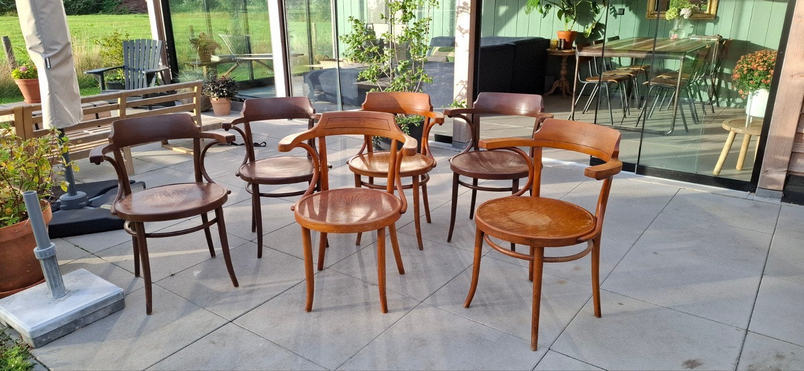 Thonet stoelen 6 stuks, Huis en Inrichting, Stoelen, Ophalen, Gebruikt, Bruin, Vijf, Zes of meer stoelen