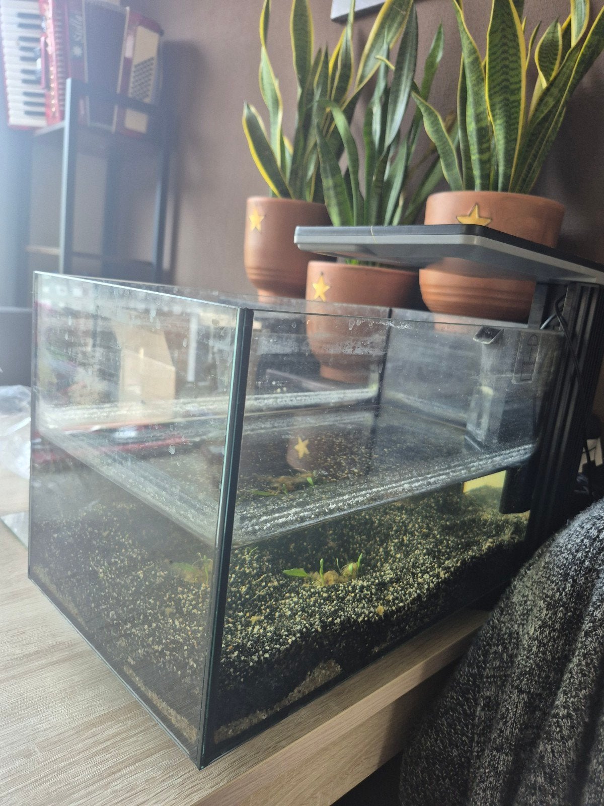 Aquarium, Ophalen, Leeg aquarium