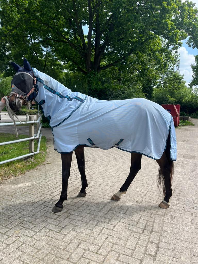 Amigo Bug Rug Plus – maat 6.3 (191 cm), 0 g, Vliegendeken, Afneembare hals, Ophalen of Verzenden