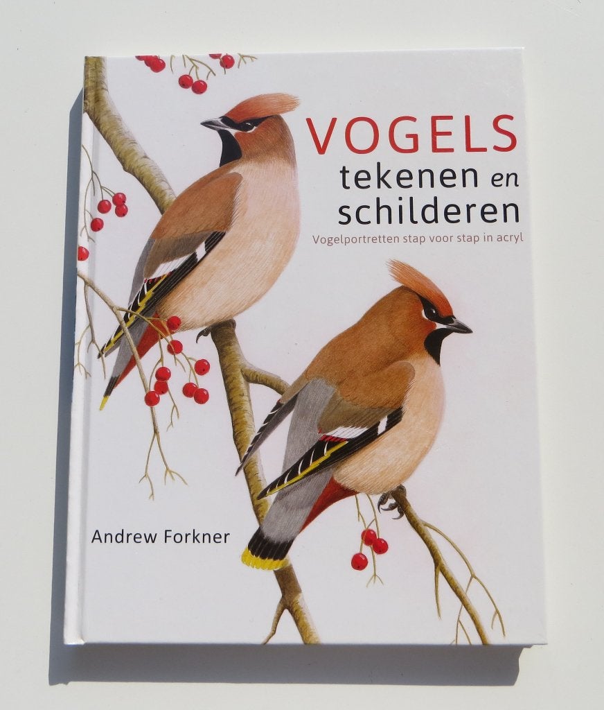 Tekenen M5529: A. Forkner - Vogels tekenen en schilderen, Ophalen of Verzenden, Tekenen en Schilderen, Andrew Forkner, Zo goed als nieuw