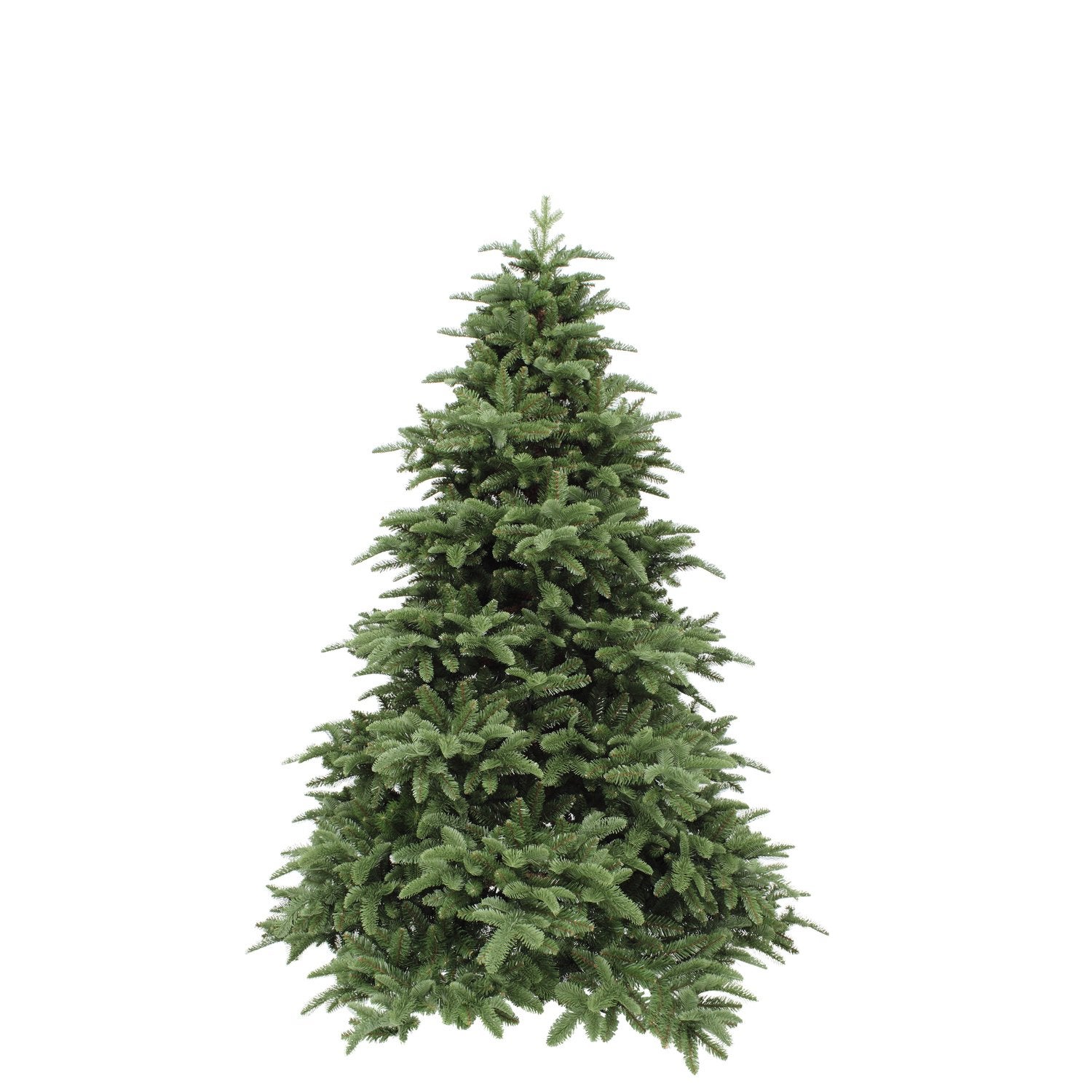 Triumph Tree Abies Nordmann / keestboom, Ophalen, Zo goed als nieuw