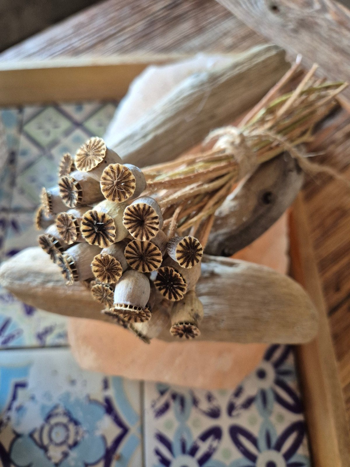 Gedroogde klaproosbosjes - Natuurlijke decoratie, Ophalen of Verzenden