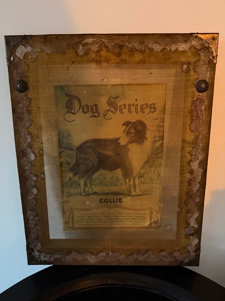 Vintage Collie Hond 'Dog Series' Ingelijste Print, Ophalen of Verzenden, Zo goed als nieuw, Minder dan 50 cm, Print