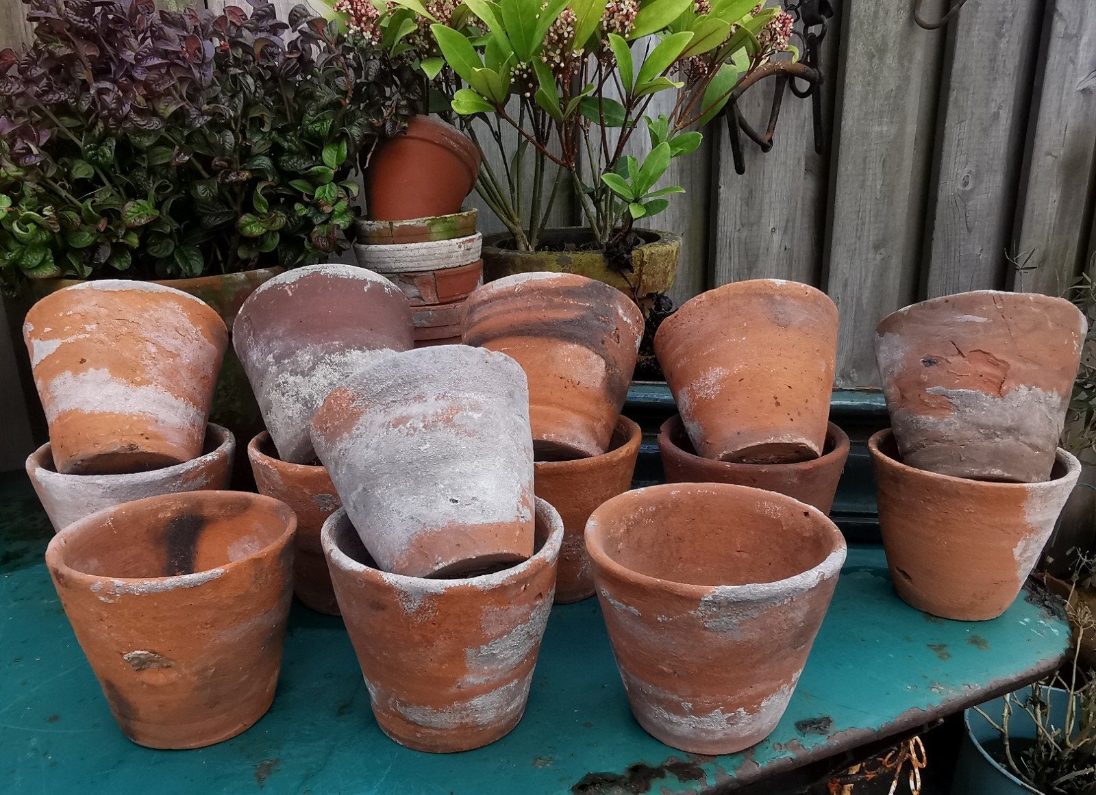 antieke terracotta potjes kweekpotjes 100 jaar oud! Miekje, ., Rond, Ophalen of Verzenden, Zo goed als nieuw