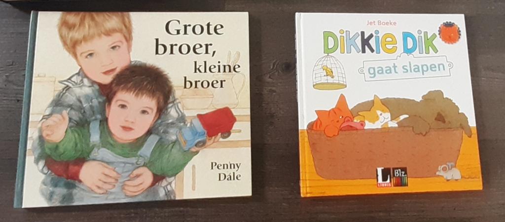 2 kinderboeken: Grote broer, kleine broer & Dikkie Dik, Boeken, Ophalen of Verzenden, Gelezen, Penny Dale, Jet Boeke, 2 tot 3 jaar