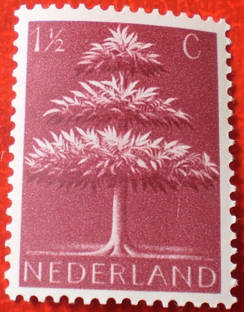 Nederland - 1x Boom - Postfris - 1,5 Cent, Verzenden, Postfris