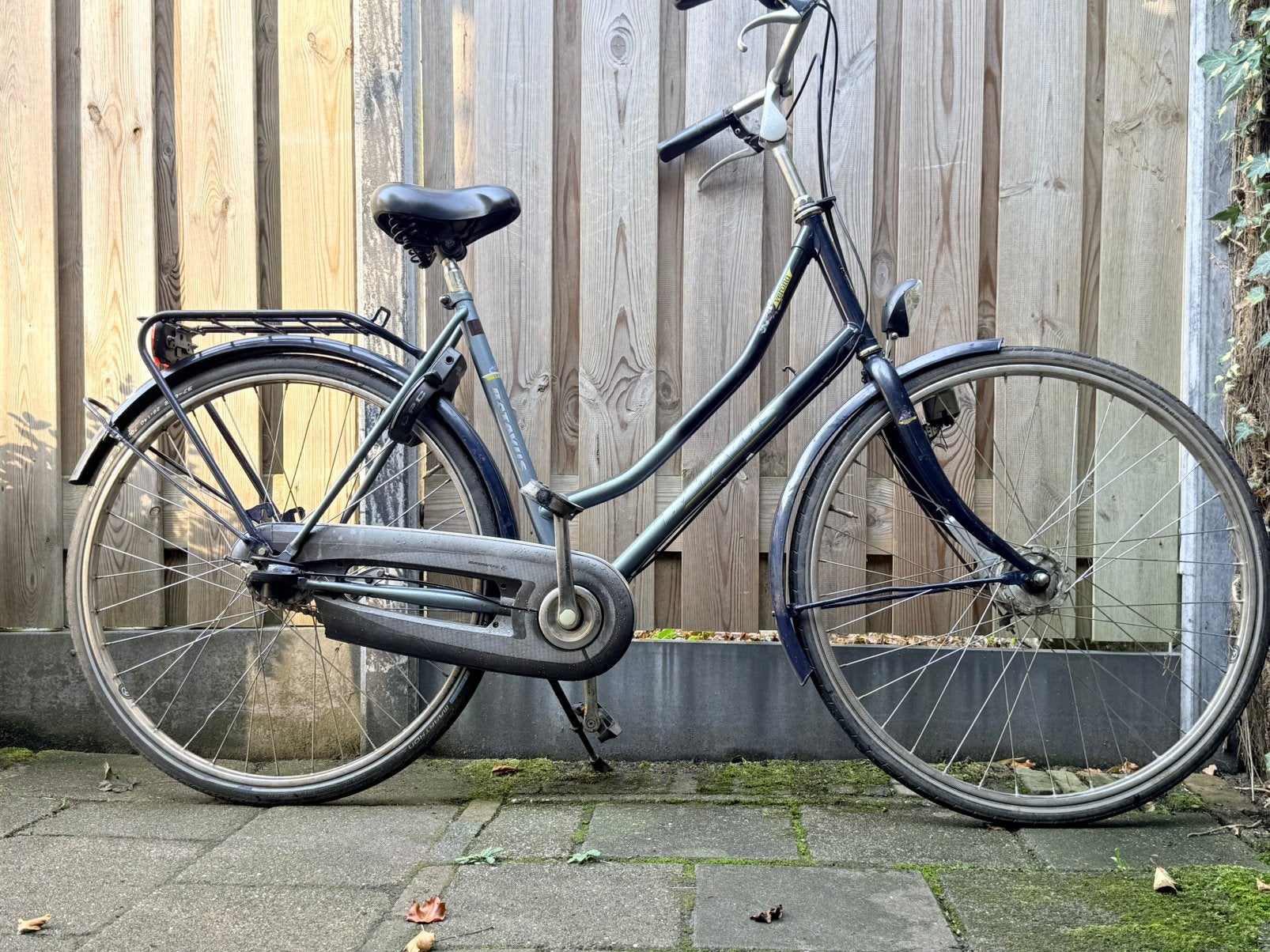 Batavus Verona frame 54, Ophalen, Versnellingen, Batavus, Schijfrem