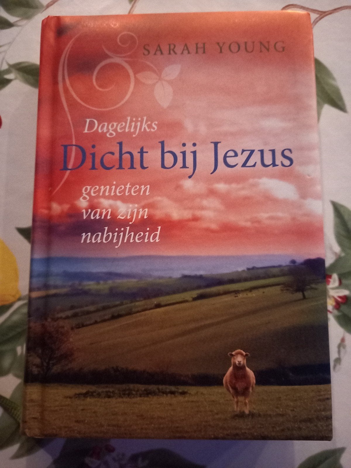 M8 Sarah Young - Dicht bij Jezus, Sarah Young, Christendom | Protestants, Ophalen of Verzenden, Zo goed als nieuw