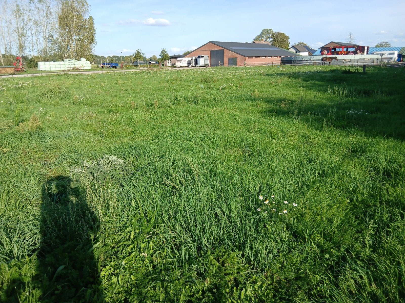 Paardenweide te huur Tilburg paddock 24 uur buiten, Dieren en Toebehoren