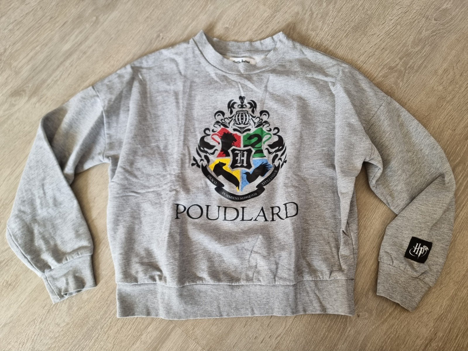 Grijs dames trui Harry Potter, maat S (MM6), Kleding | Dames, Ophalen of Verzenden, Zo goed als nieuw, Maat 38/40 (M), Grijs