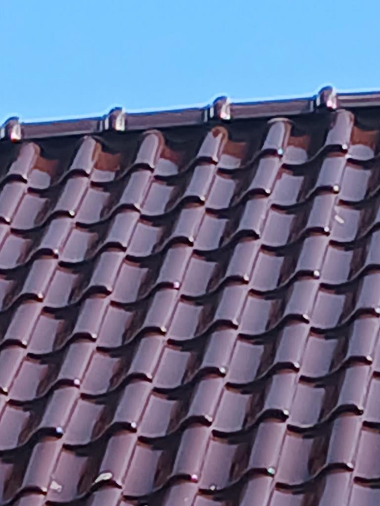 Dakpannen, Steen of Klei, Zwart, Nieuw, Ophalen of Verzenden