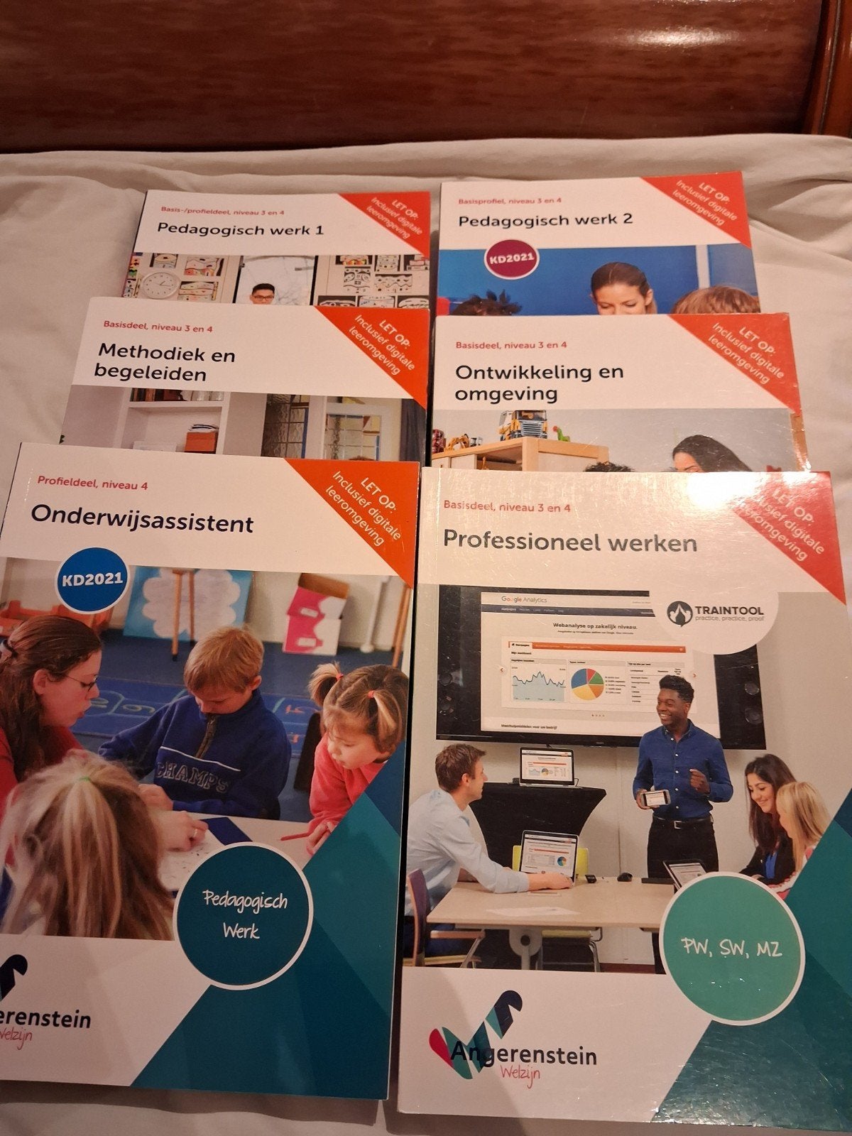 Boeken voor de onderwijsassistent opleiding, Boeken, Ophalen of Verzenden, Zo goed als nieuw, VMBO, Overige vakken