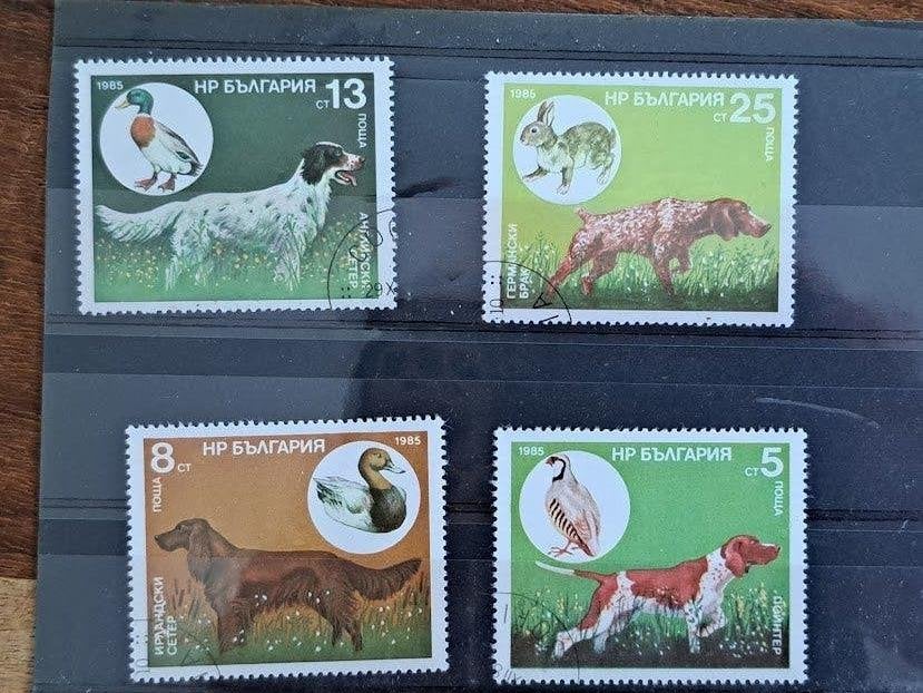 Bulgarije 1985 gestempeld jachthonden, Ophalen of Verzenden, Gestempeld, Dier of Natuur
