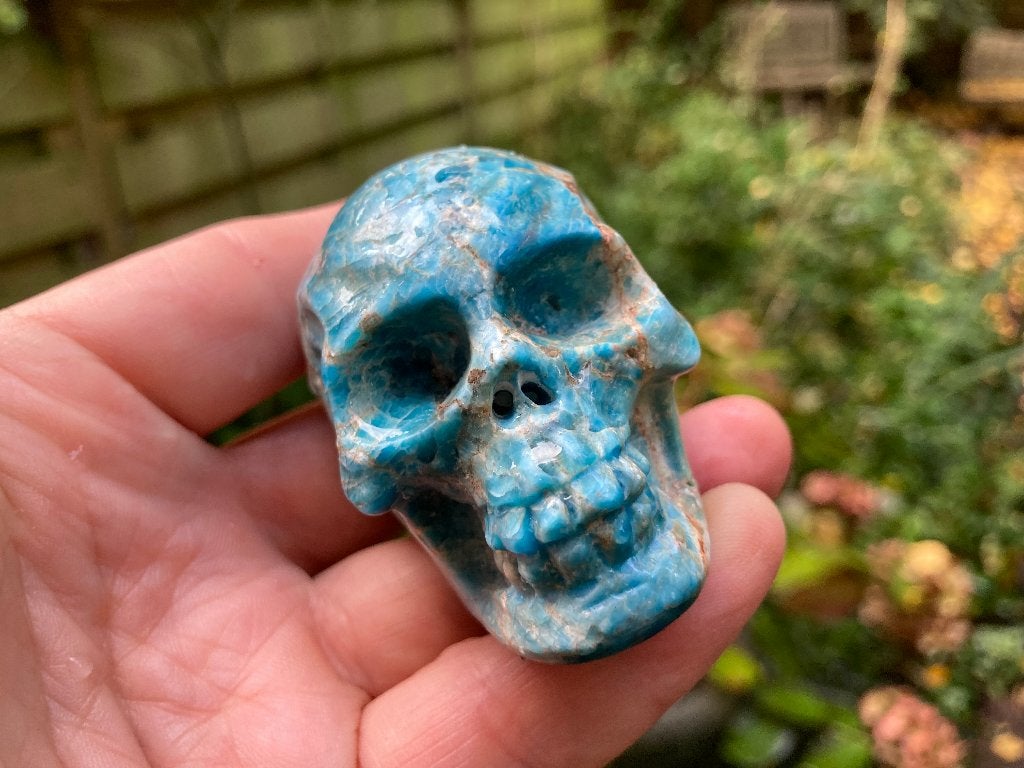 Kristallen Schedel van Blauwe Apatiet, Verzamelen, Ophalen of Verzenden