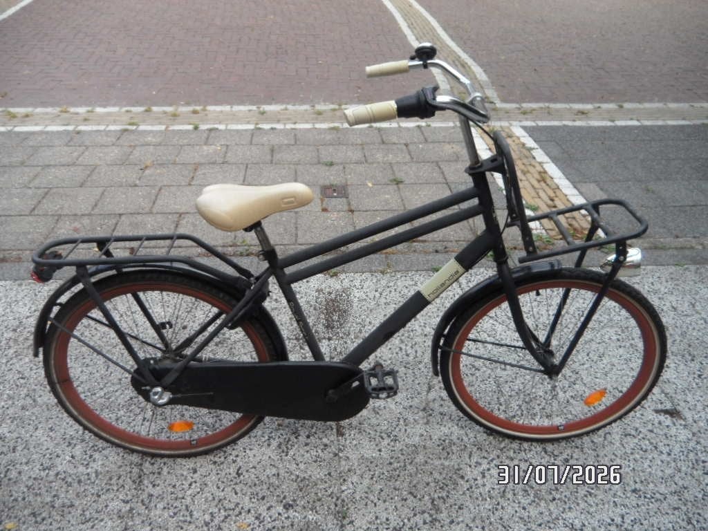 Hollandia Royal Fame Junior RN3 26 Inch, Terugtraprem, Gebruikt, Handrem, Ophalen