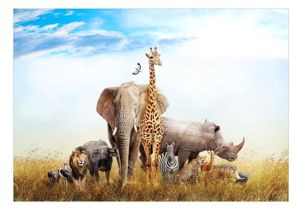 Jungledieren behang Wildlife of Africa, Jungle behang, giraf, Verzenden