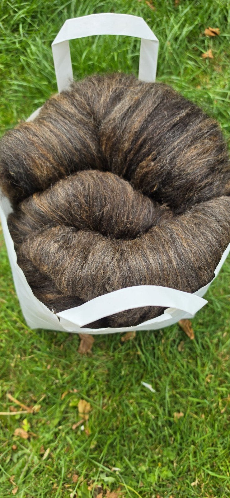 500 gram gekaarde wol van het Oussant schaapje, Hobby en Vrije tijd, Spinnewielen en Spinnen, Ophalen of Verzenden, Nieuw, Spinwol