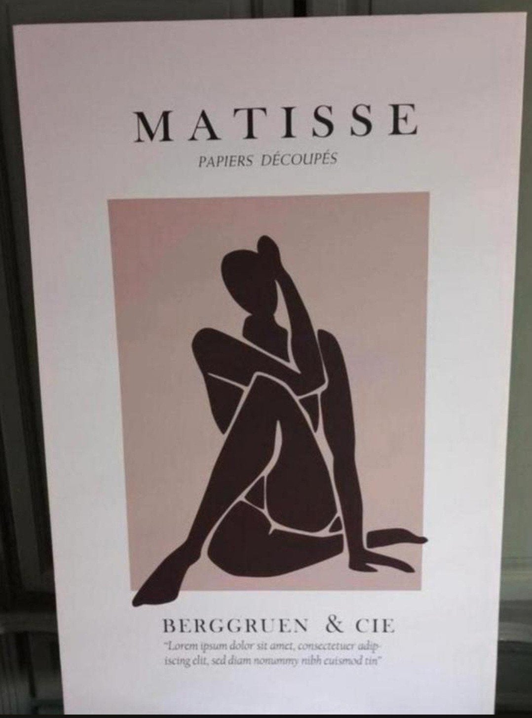 Groot model schilderij poster van Matisse, Ophalen