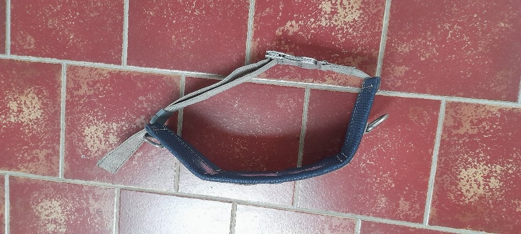 veiligheids riem, Ophalen of Verzenden, Gebruikt