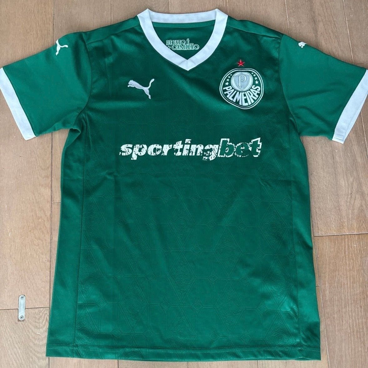 Palmeiras thuisshirt - Maat S, Ophalen of Verzenden, Zo goed als nieuw, Voetbal, Groen