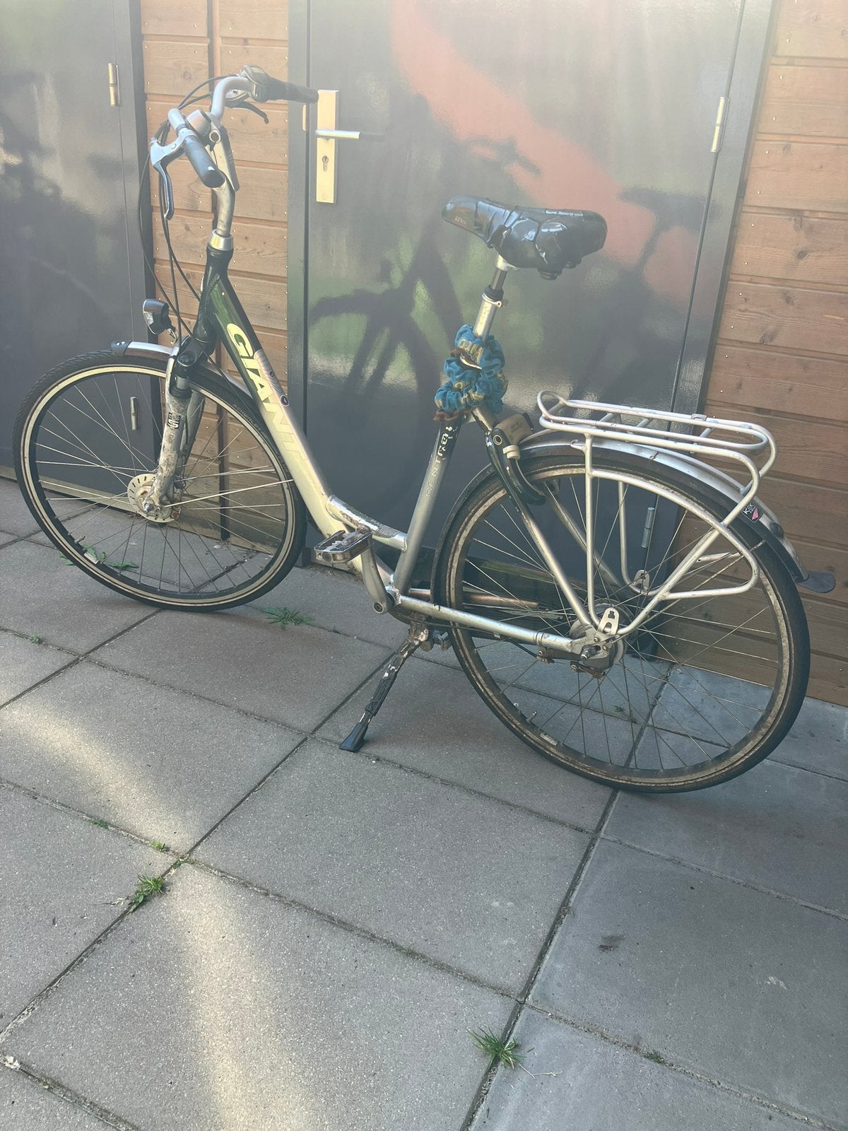 Giant damesfiets, Ophalen