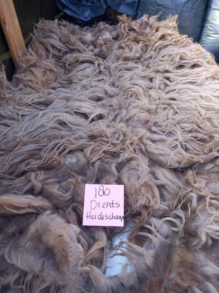 nr 180 Geschoren vacht van Drents Heideschaap, Ophalen of Verzenden, Gebruikt