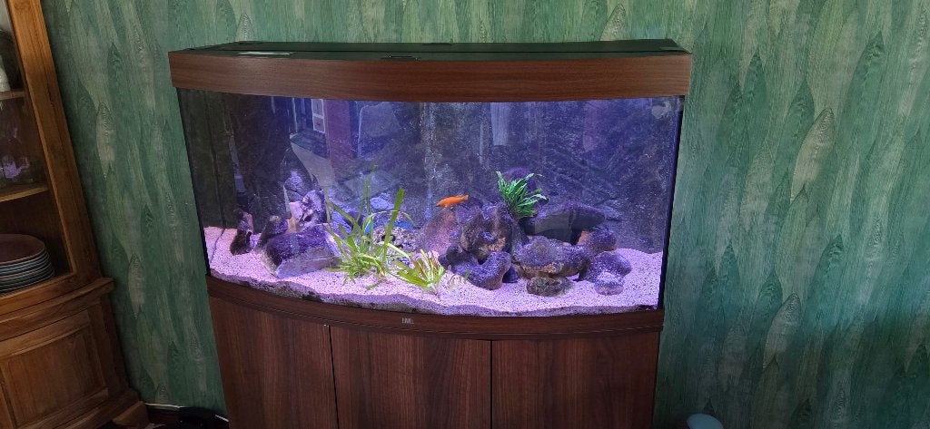 Juwel Vision 260, Ophalen, Gebruikt, Inclusief controller, Leeg aquarium