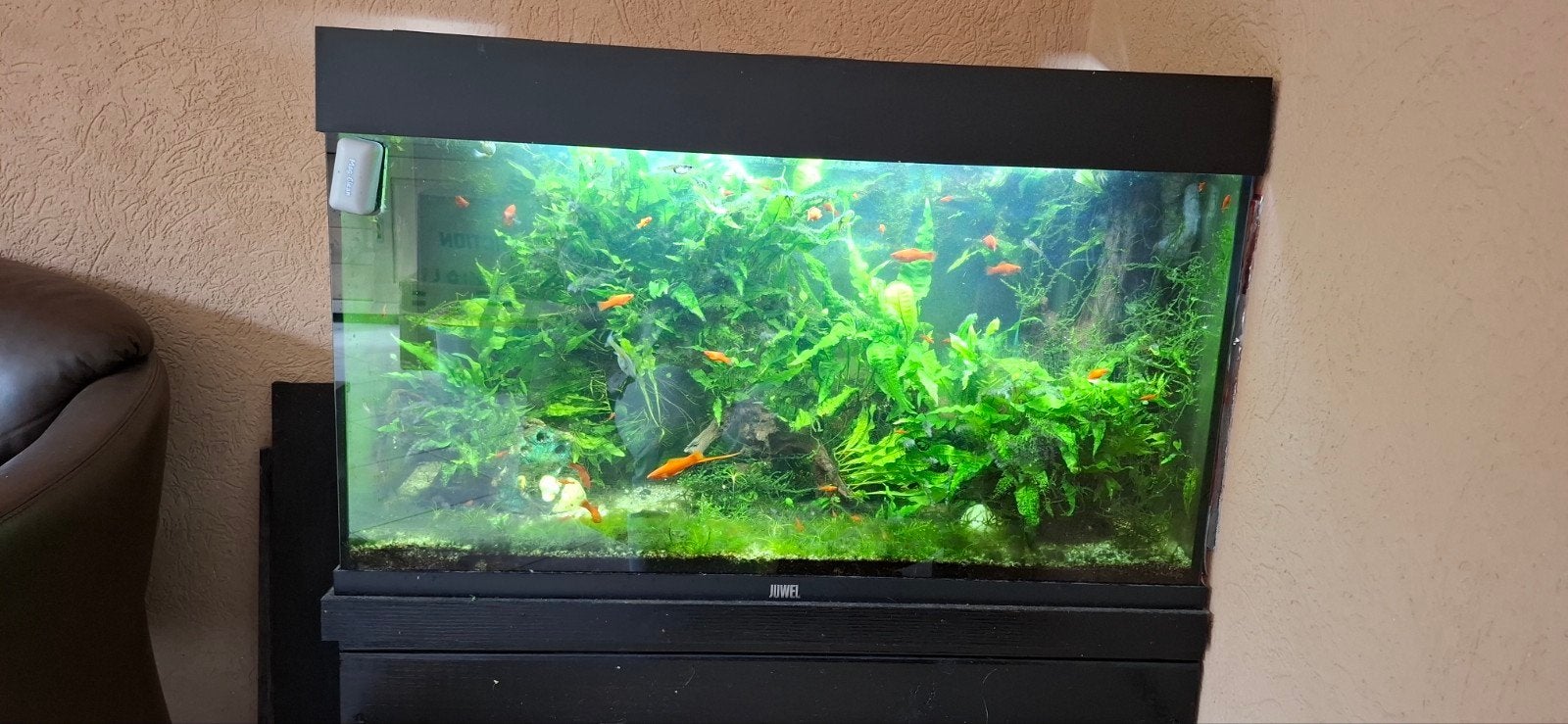aquarium Jewel, Ophalen, Gebruikt, Gevuld zoetwateraquarium, Juwel