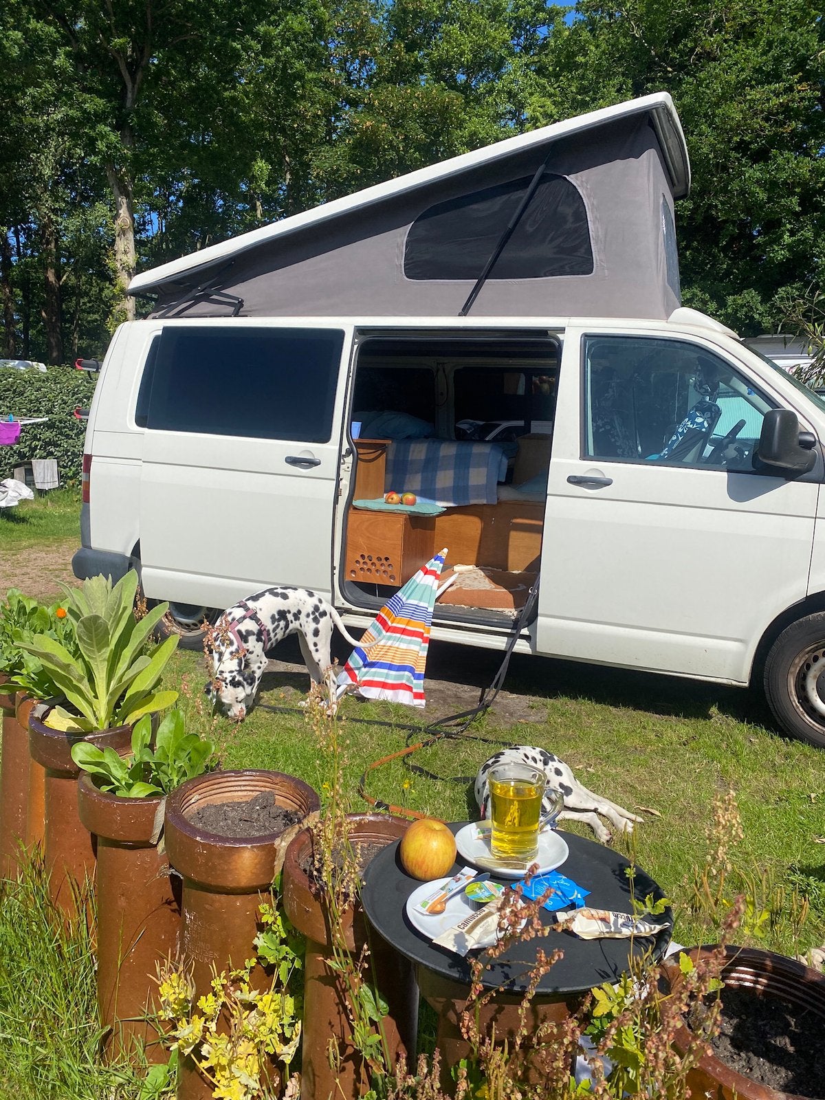 Caravans And Camping Volkswagen