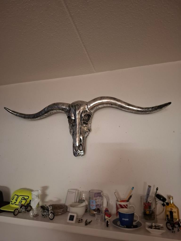 Decoratie Skull 120x65cm, Ophalen of Verzenden, Zo goed als nieuw