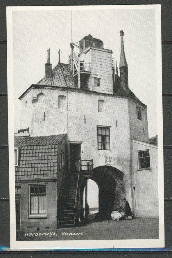 Harderwijk 1960 Vispoort Foto Ansichtkaart 1052 jdu, Ophalen of Verzenden, 1940 tot 1960, Gelopen, Gelderland