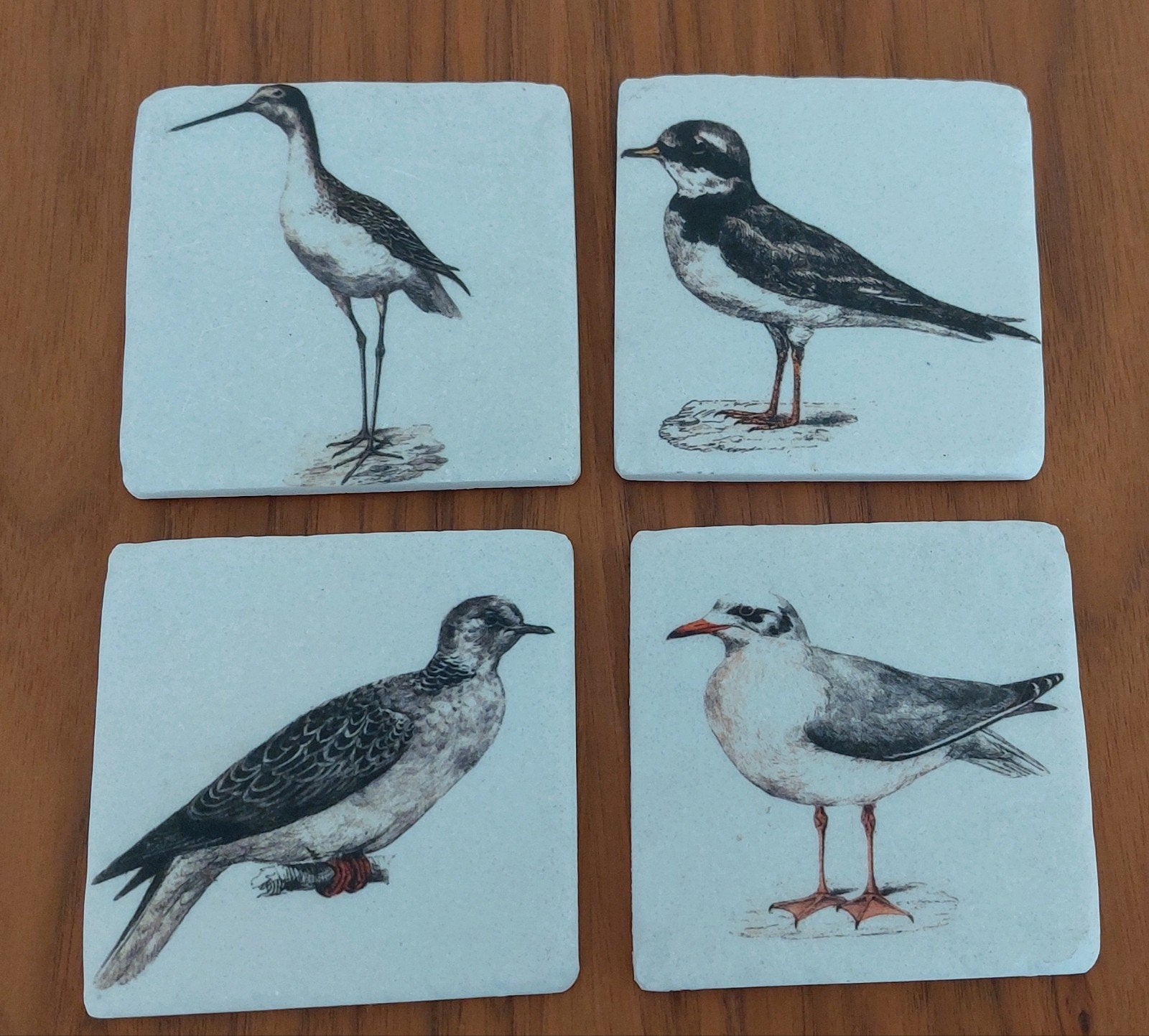 Set van 4 onderzetters met vogelprint - Zo goed als nieuw, Ophalen, Steen/keramiek, Glasonderzetter, Meerkleurig