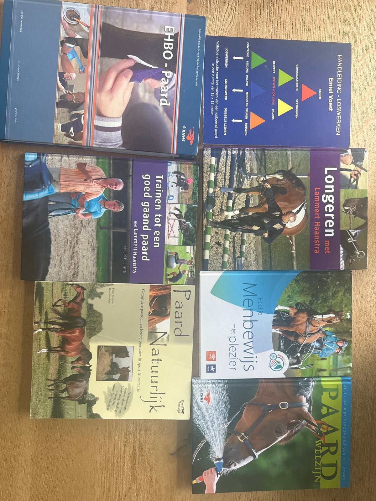 Paardenboeken: EHBO, Longeren, Menbewijs, Training & Welzijn, Boeken, Ophalen of Verzenden, Zo goed als nieuw, Overige onderwerpen