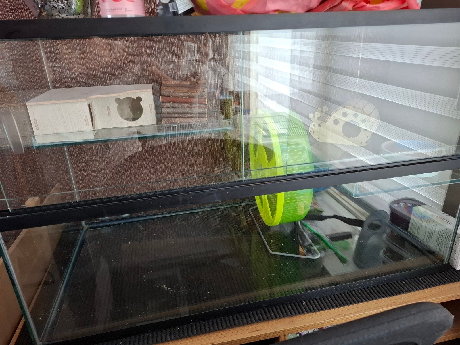 knaagdier terrarium 80x40x50, Ophalen, Zo goed als nieuw, Terrarium of Paludarium