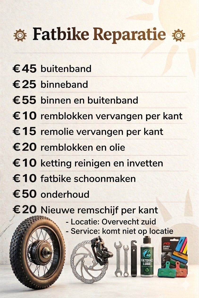 Fatbike reparatie, Fietsen en Brommers, Elektrische fietsen, 59 cm of meer, Ophalen, Zo goed als nieuw, Overige merken
