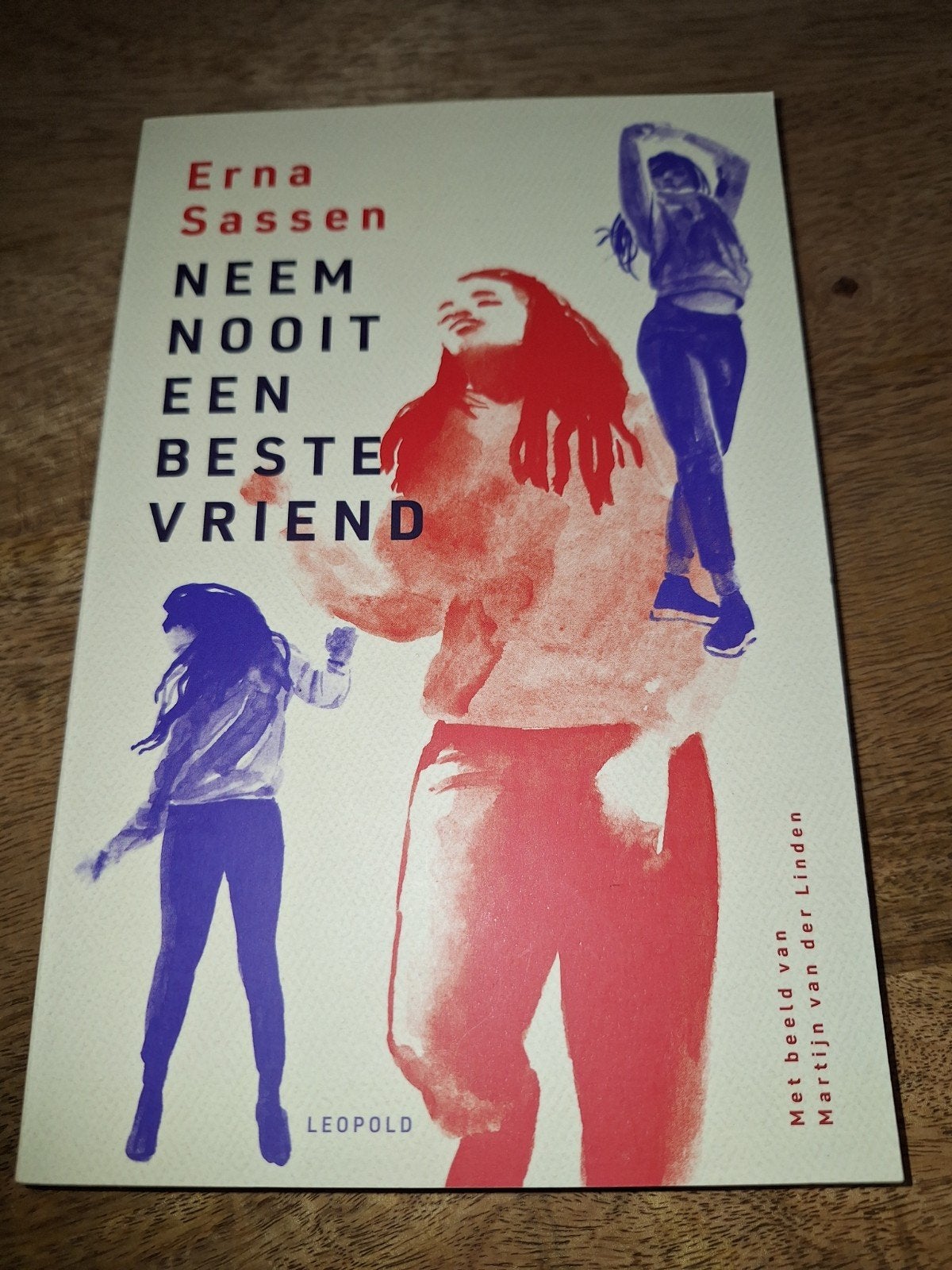 Erna Sassen - Neem nooit een beste vriend, Ophalen of Verzenden, Zo goed als nieuw, Erna Sassen