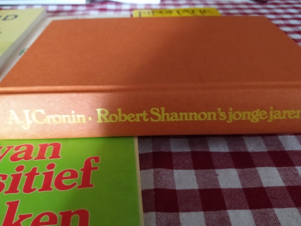 Robert shannon;s jonge jaren ria verstegen. Bekijk ook m, Ophalen of Verzenden, Gelezen