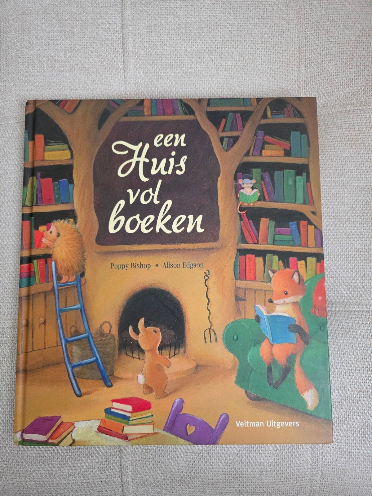 Een Huis vol Boeken - Prentenboek voor Kinderen, Boeken, Fictie algemeen, Jongen of Meisje, Ophalen of Verzenden, Zo goed als nieuw