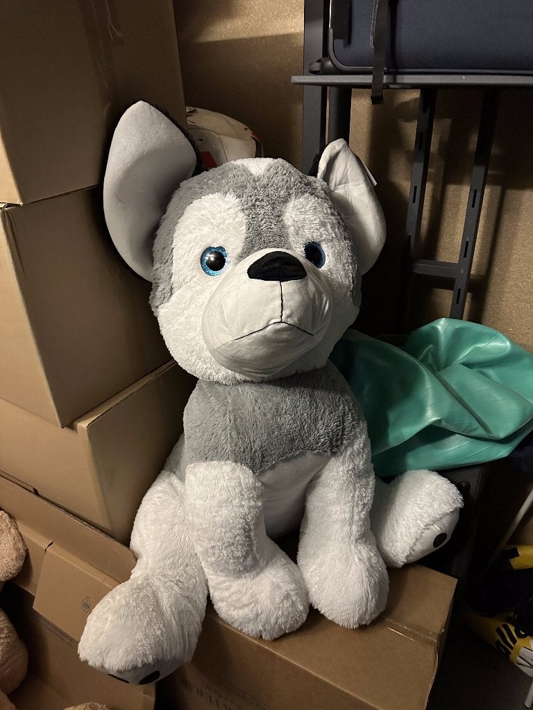 Grote husky knuffel 90 cm met blauwe ogen, nieuw, Overige merken, Grijs, Groot (groter dan 80 cm), Hond