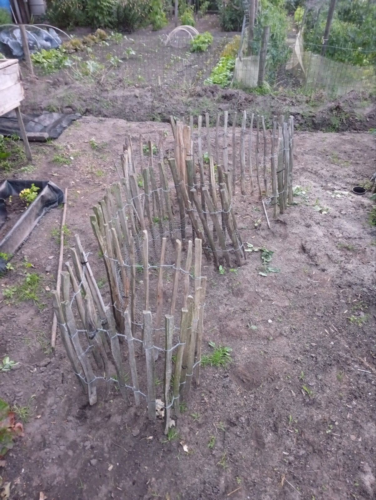 Te koop schapenhek Frans hekwerk reststukken, Ophalen of Verzenden, Gebruikt, Hout, Tuinhek