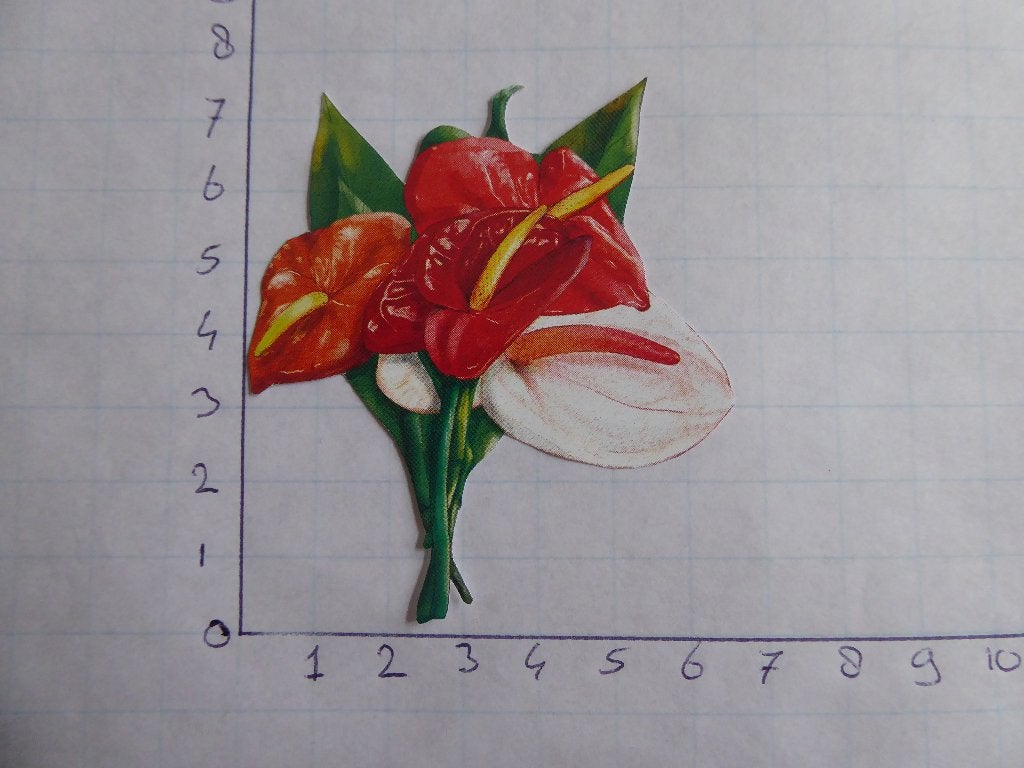 nr. 291 - uitgeknipt 3d plaatje, Ophalen of Verzenden, Nieuw, Overige thema's, Knipvel