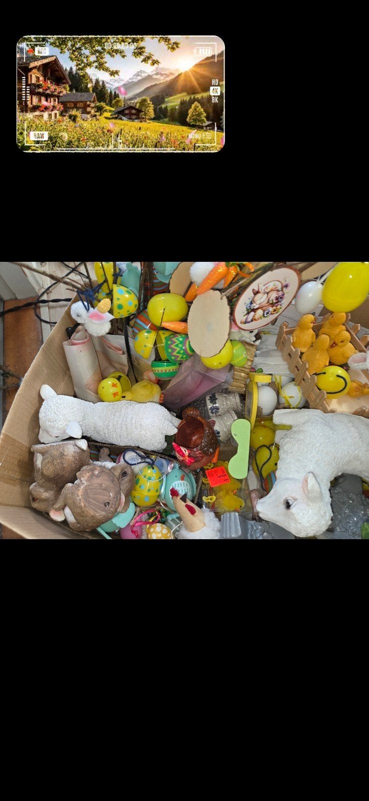 Paas artikelen te koop, Diversen, Ophalen