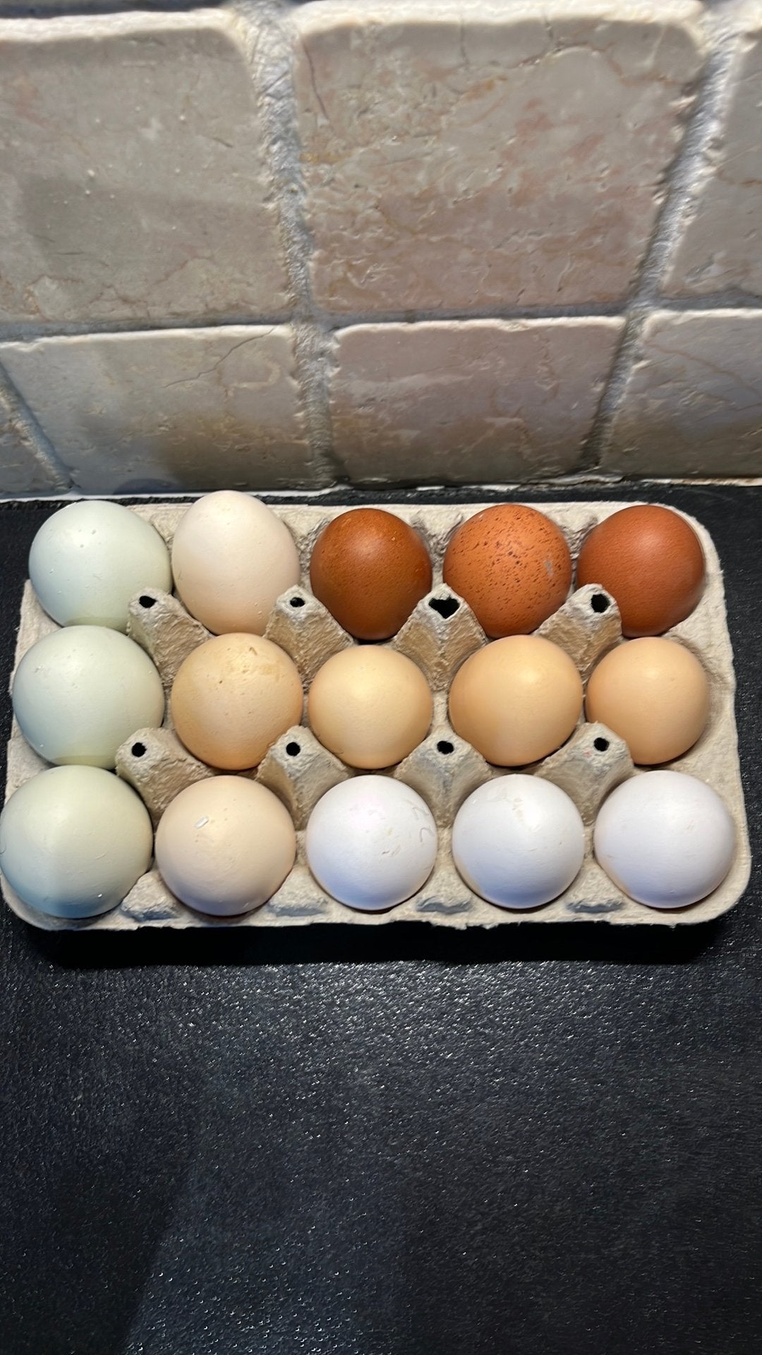 Broedeieren van kleurleggers ( Biologisch), Dieren en Toebehoren, Pluimvee, Geslacht onbekend, Kip