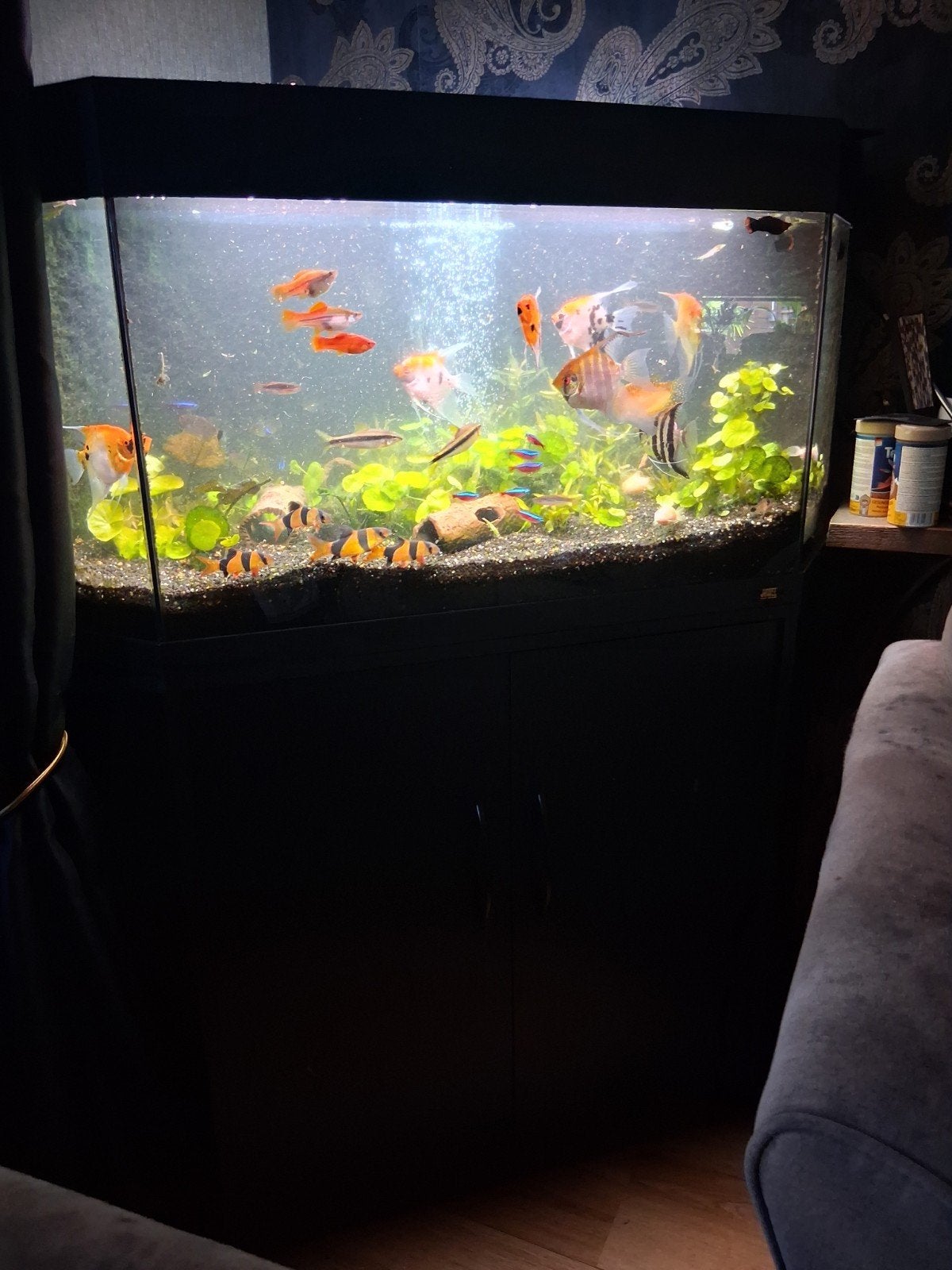 juwel hoek aquarium met onderkast meubel, Dieren en Toebehoren, Ophalen, Leeg aquarium