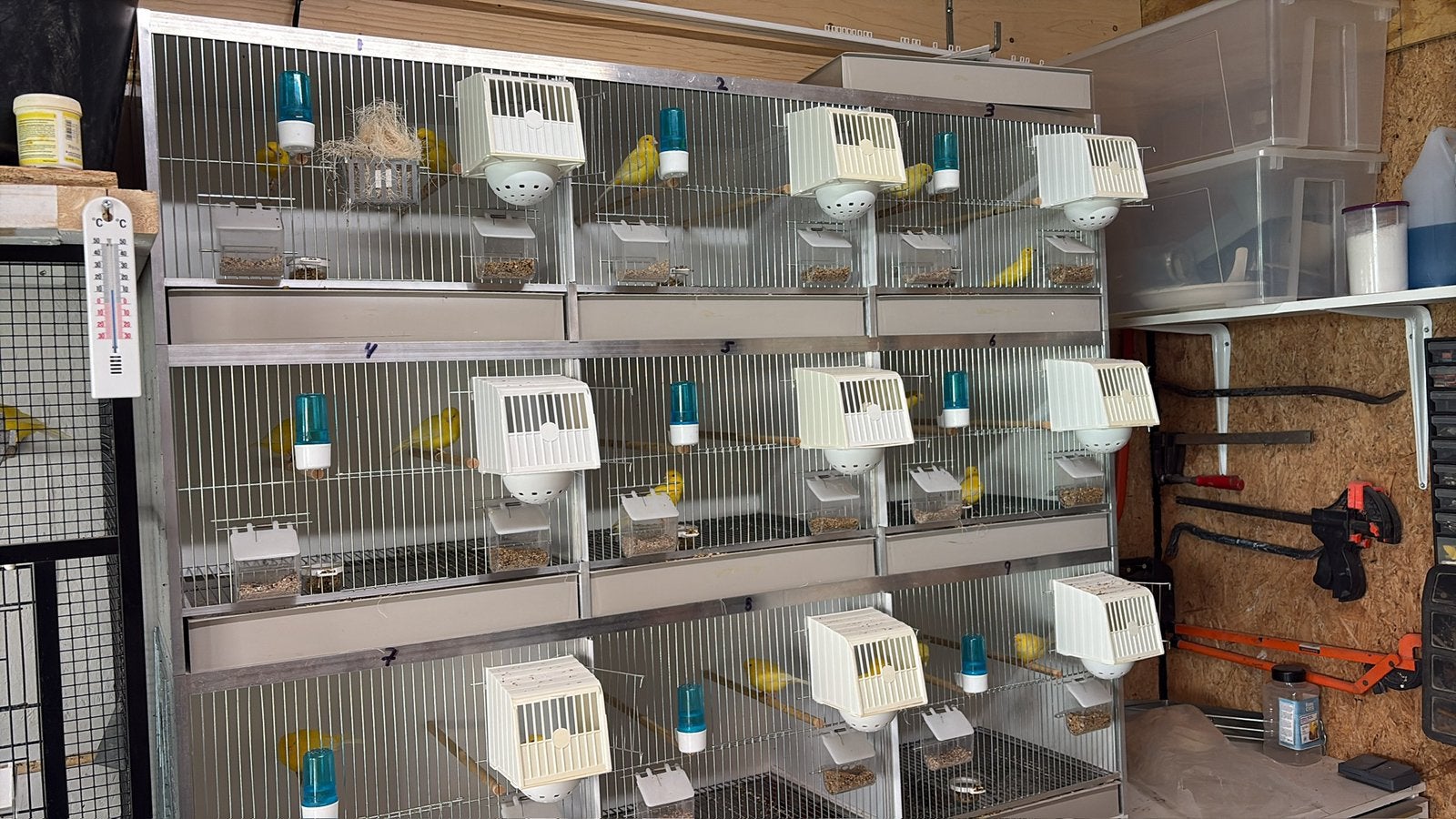 GEHU broed kooi, Dieren en Toebehoren, Vogels | Hokken en Kooien, Ophalen, Zo goed als nieuw, Kunststof, Broedkooi of Kweekkooi