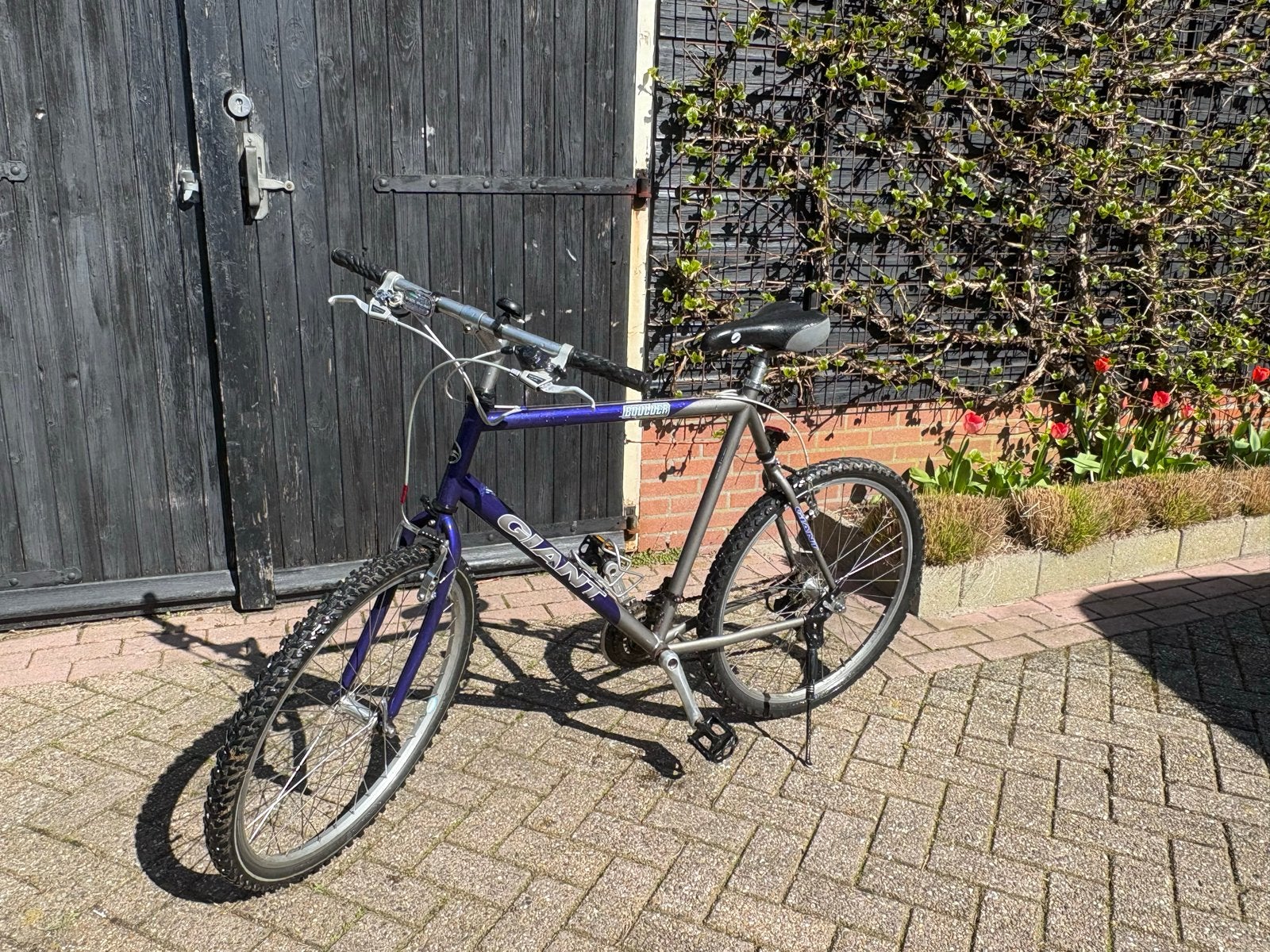 Giant Boulder Mountainbike, Fietsen en Brommers, Ophalen, Gebruikt, Giant, Geen vering