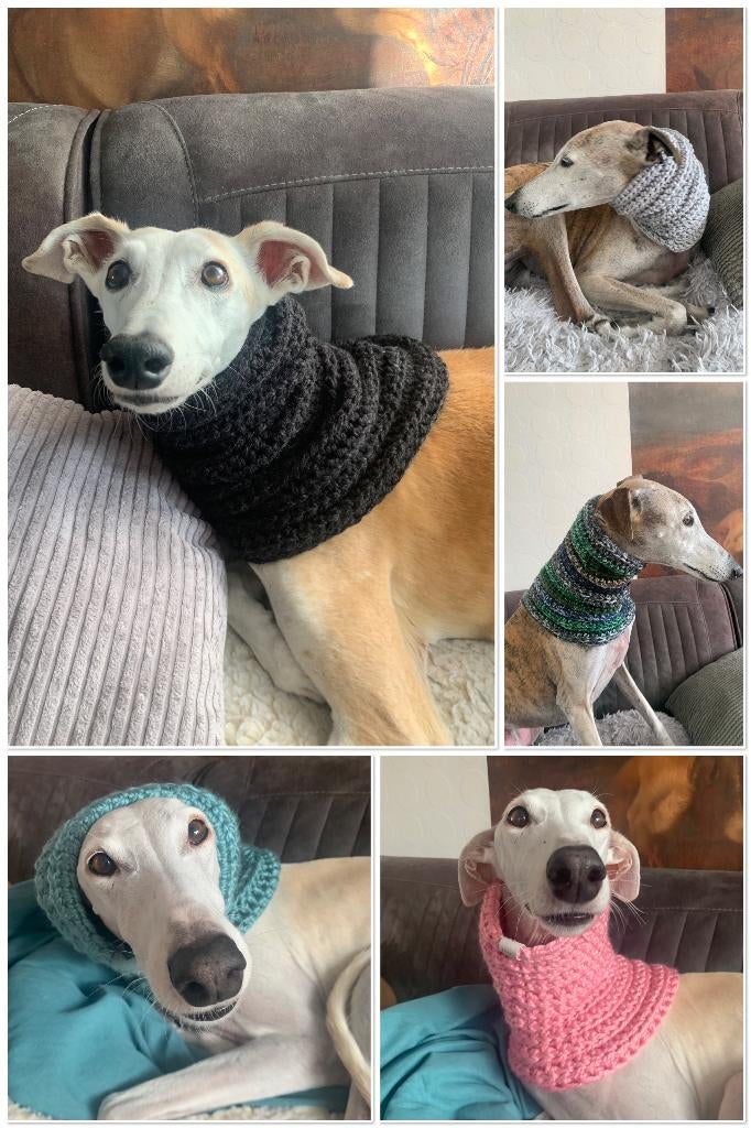 Gehaakte snood-halswarmer-colsjaal-hondenhalsband acryl XL, Ophalen of Verzenden, Nieuw