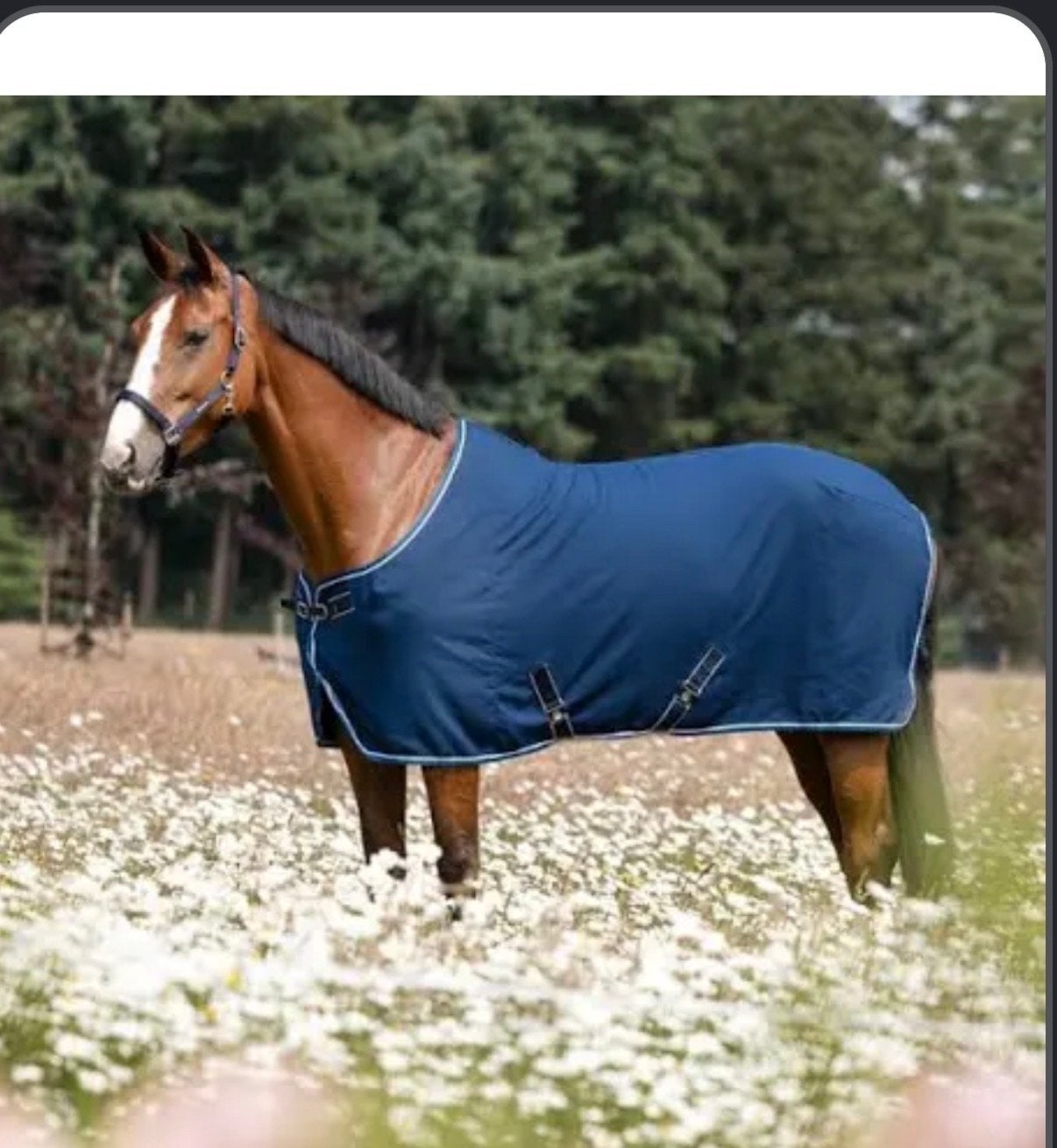 Dominick Summer Cooler, Dieren en Toebehoren, Ophalen of Verzenden, Nieuw, Blauw, Staldeken